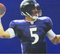 Nike youth Baltimore Ravens #5 Flacco Purple Jerseys