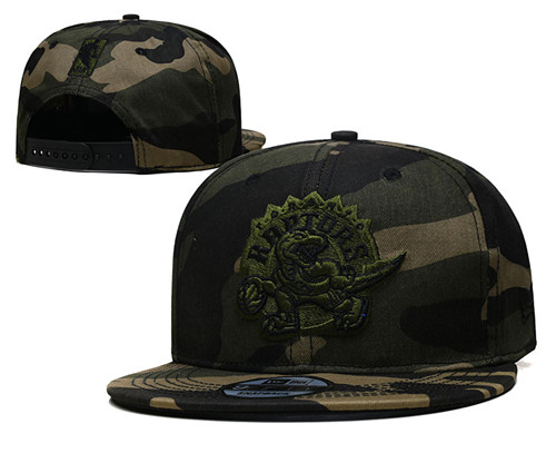 Raptors Snapback Hat--TX