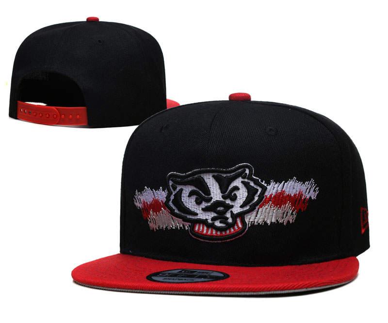 Wisconsin Badgers Stitched Snapback Hats 002